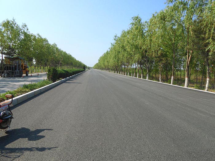 秦皇島北戴河新區(qū)濱海新大道工程